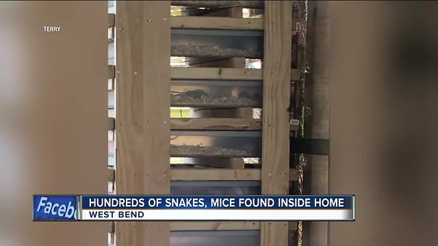 Hundreds of mice, snakes removed from West Bend home