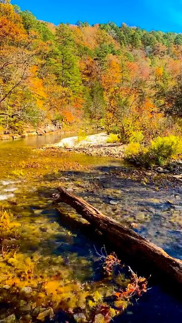 Gunner Pool Arkansas