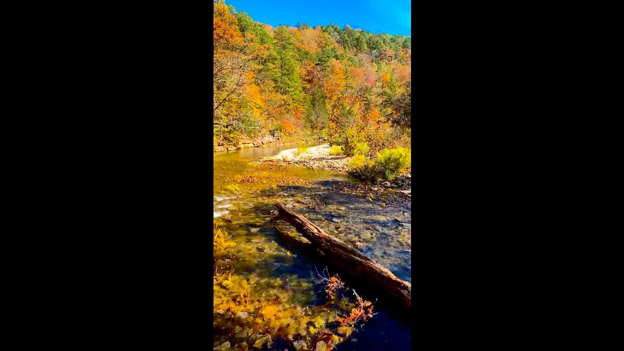 Gunner Pool Arkansas