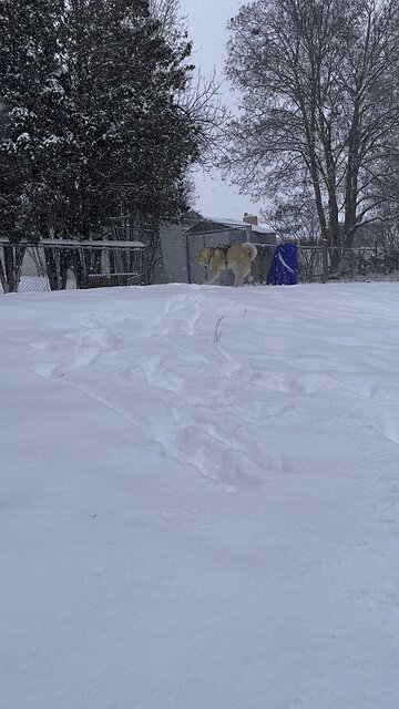 This guy is having fun in the snow.