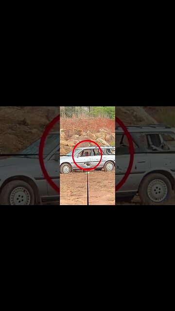 Steiner T6Xi 1-6 FPV