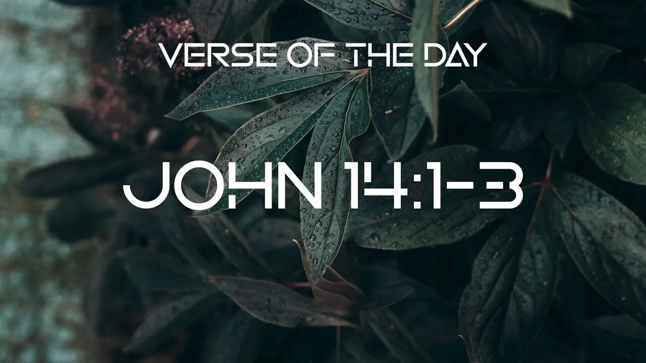 December 30, 2022 - John 14:1-3 // Verse of the Day