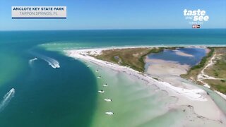 Giant Adventure: Exploring Anclote Key | Morning Blend