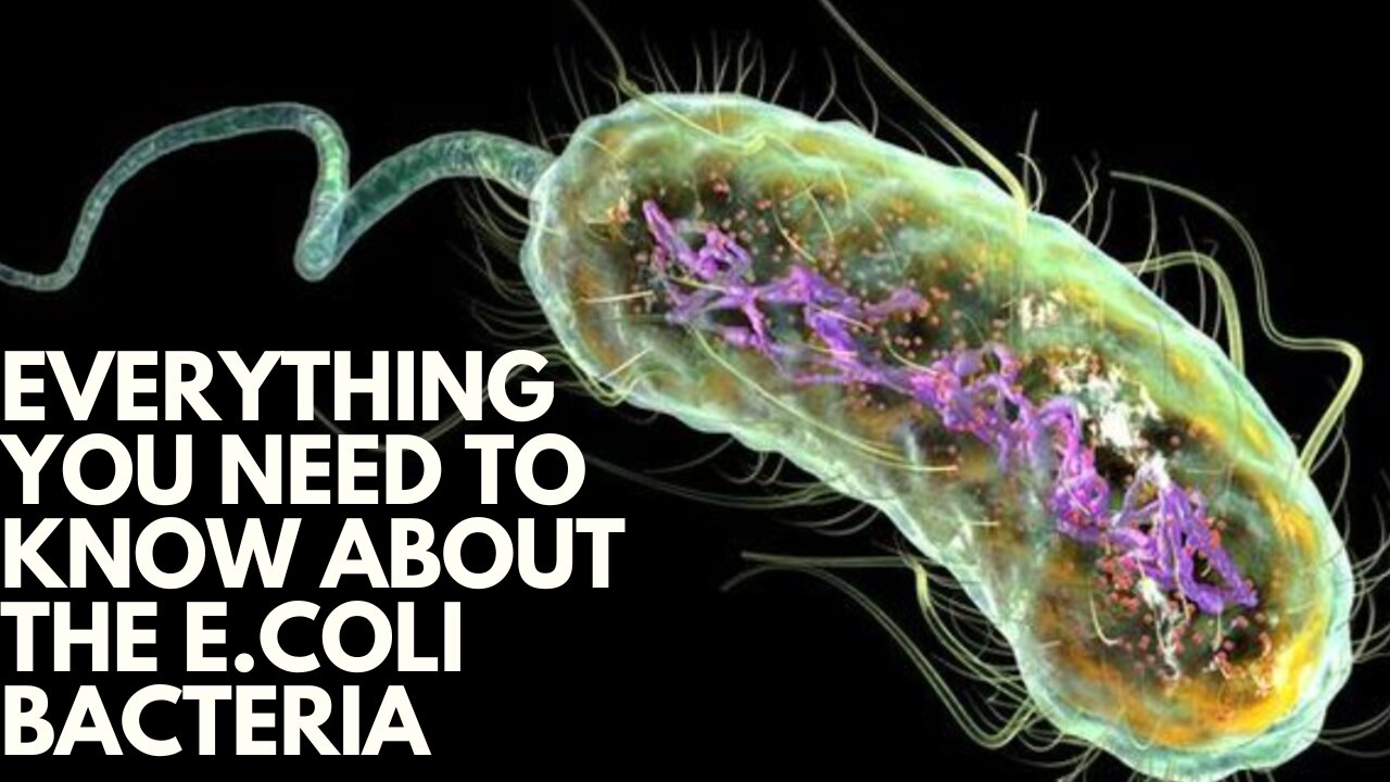 E. Coli Outbreak 2024: What You Need to Know!