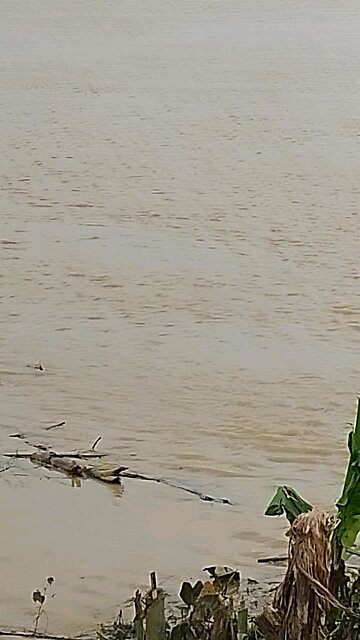 Gomti River Comilla Bangladesh