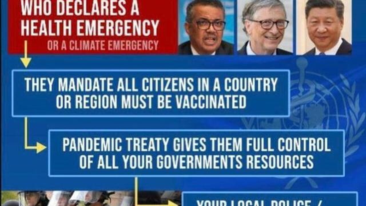 CRIMINAL CARTEL OF WHO WORLD HEALTH ORGANIZATION - DR DAVID MARTIN