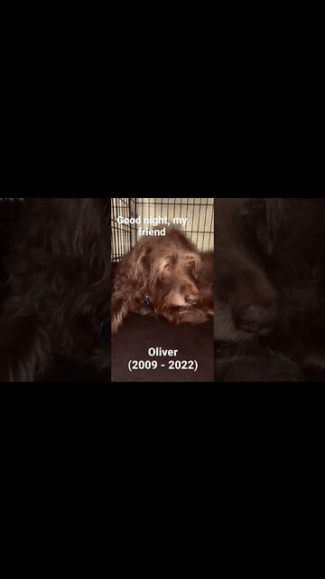 "a song for a heart so big ..."