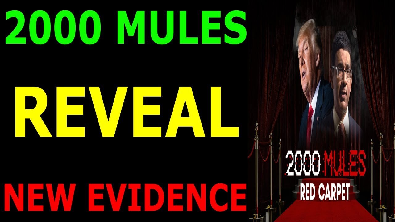 MILITARY CONTROL! 2000 MULES REVEAL NEW EVIDENCE - TRUMP NEWS