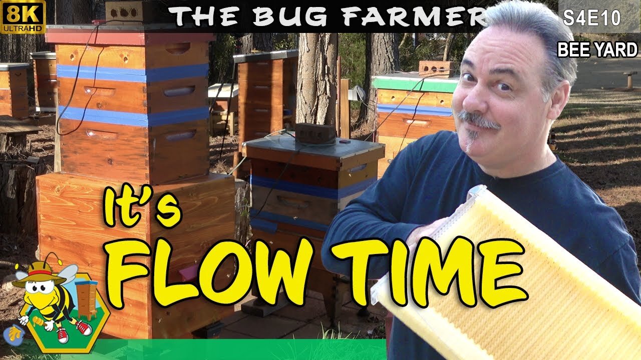 It's Flow Time - Adding Flow Hives