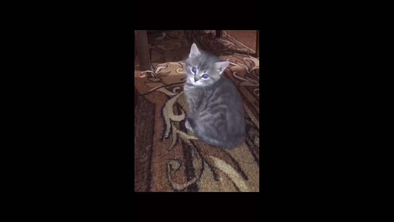 He stood up for himself