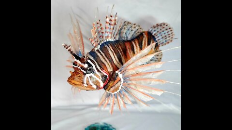 Lion Fish