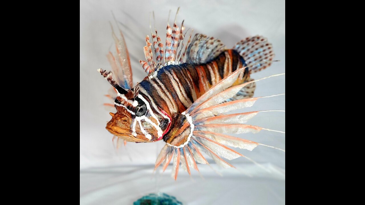 Lion Fish