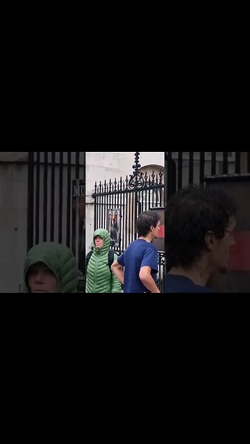 He just stares at the horse #horseguardsparade