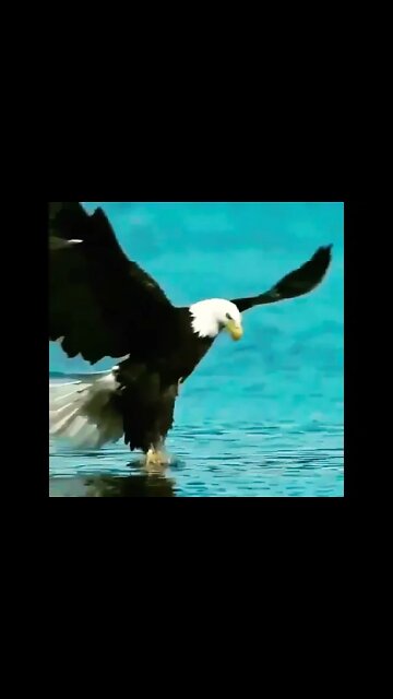 Good Morning Beautiful Images