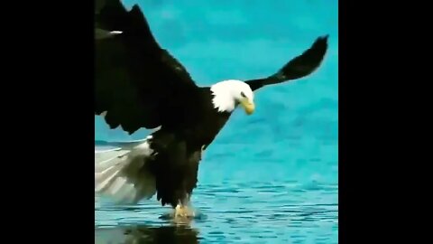 Good Morning Beautiful Images