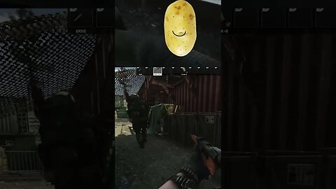 Potato Tomato