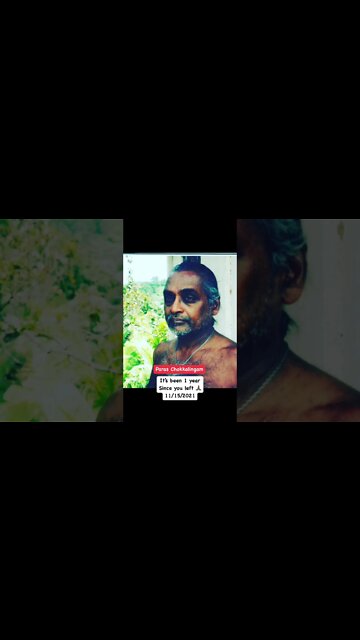 My Father’s One year Anniversary passing 11/15/2021