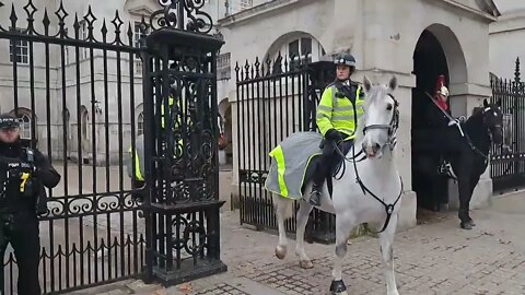 Police horse's and the kings guard pass each other #horseguardsparade