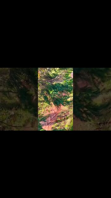 Muddy River after a road Flooded