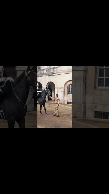 farmers protest scares horse #horseguardsparade