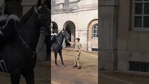 farmers protest scares horse #horseguardsparade