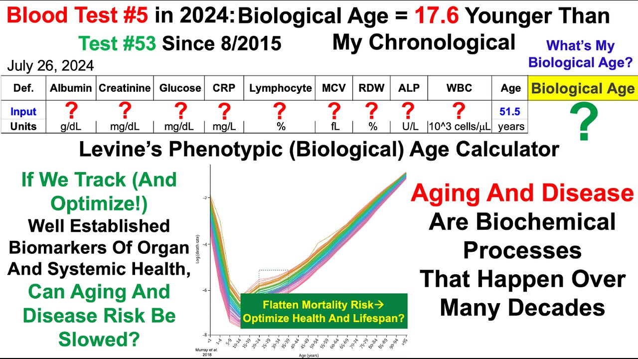 17.6y Younger Biological Age (Blood Test #5 In 2024)