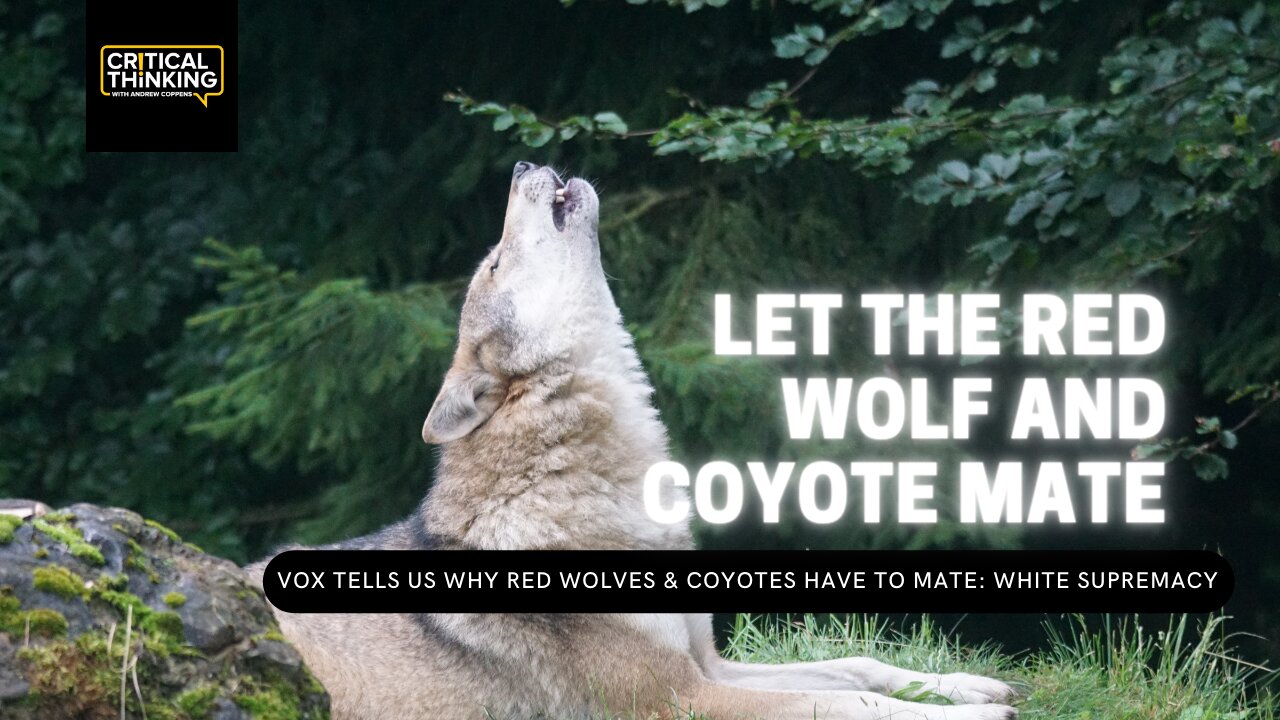 Let the Red Wolves and Coyotes Mate | 11/30/21