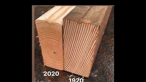 Amazing Carpentry Projects - Woodworking Tips