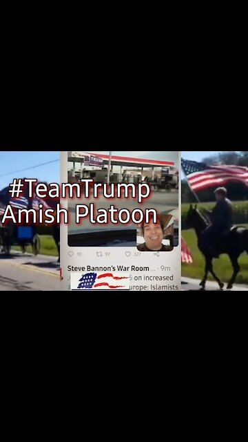 buggy train? the Amish are out in full force and getting their Trump on today