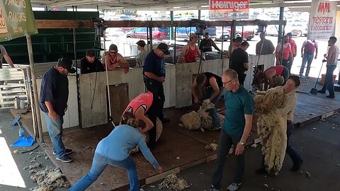 Preliminary Round 2 Mike McWilliams Oregon Shearing Contest Pro Division