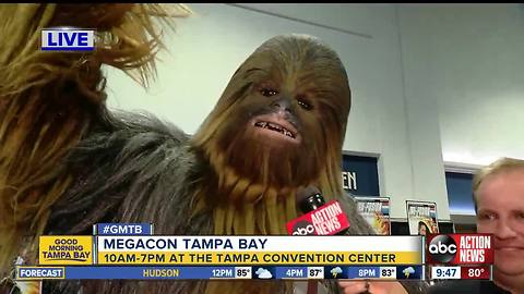 MegaCon Tampa Bay draws celebrities, comic book readers and pop culture enthusiasts,