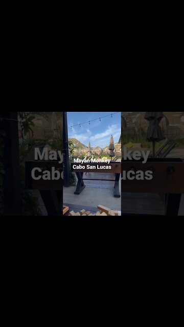 Mayan Monkey| Best Hostel in Cabo San Lucas