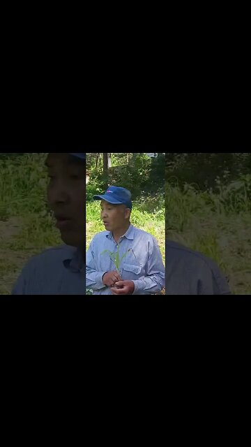 Natural Farming x Plant Based Eating. THERE IS AN AWAKE MINORITY IN KOREA! #KoreaLighthouse