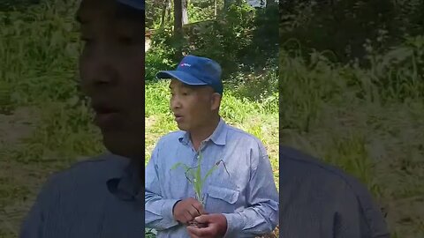 Natural Farming x Plant Based Eating. THERE IS AN AWAKE MINORITY IN KOREA! #KoreaLighthouse