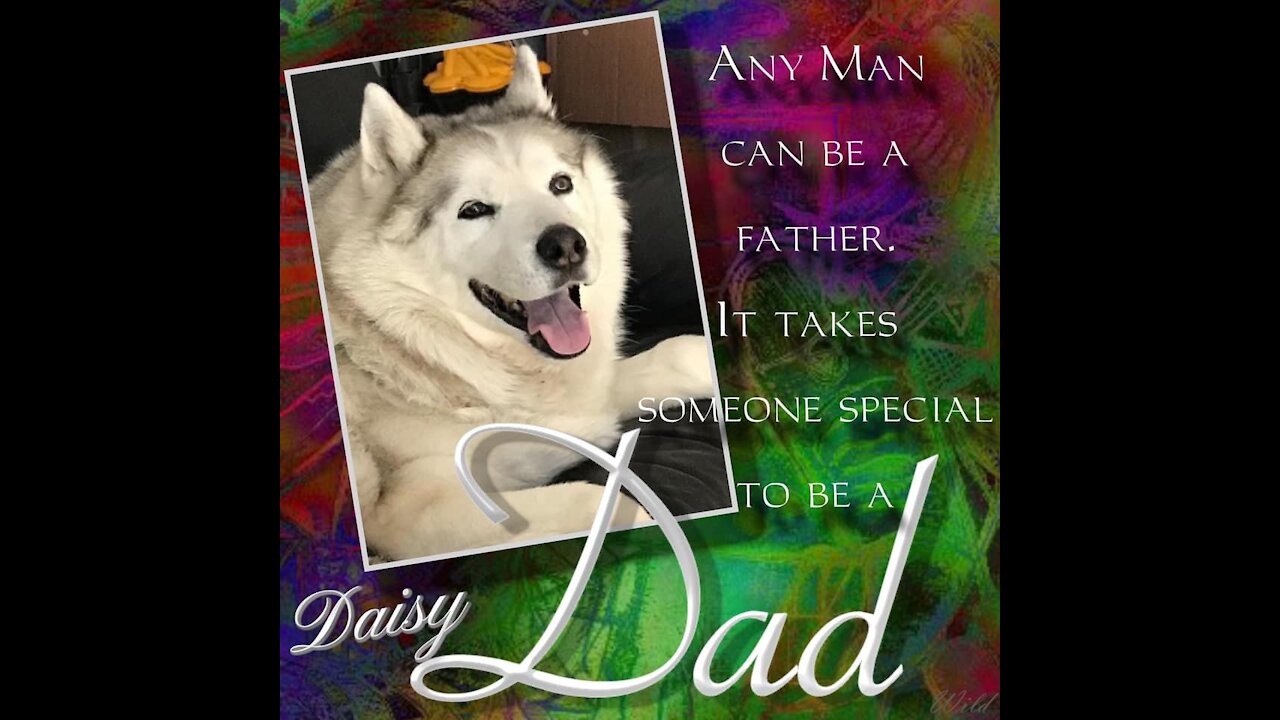 My Husky, My Best Friend - Father's Day 2021
