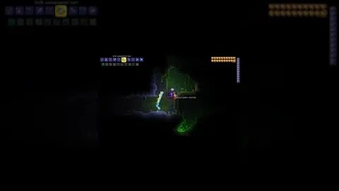 NPC's In Space! ~ Terraria (Expert) #shorts #subscribe