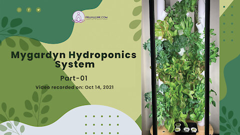 Mygardyn hydroponics system| PART 1 | PRANALINK.COM