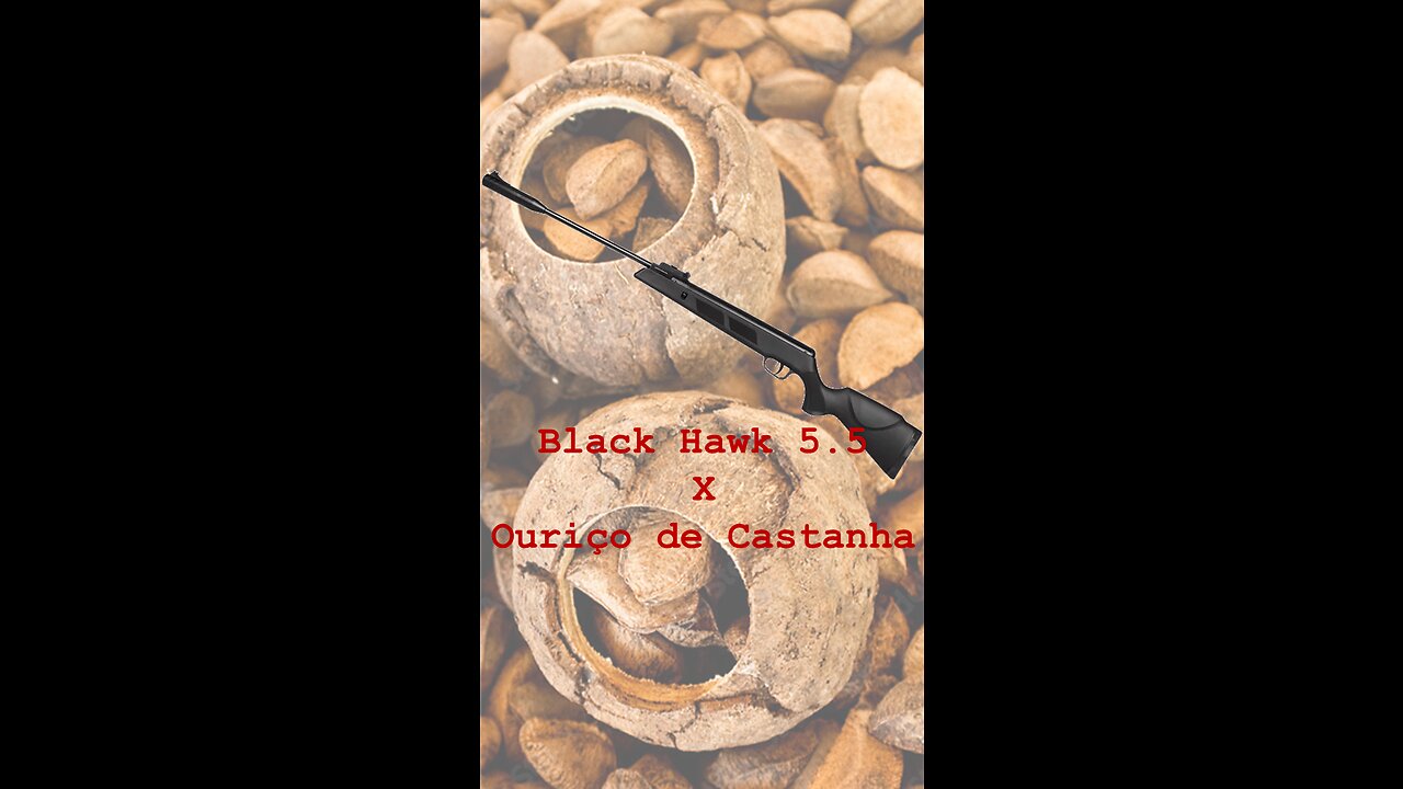 Carabina Black Hawk 5.5 X Ouriço de Castanha