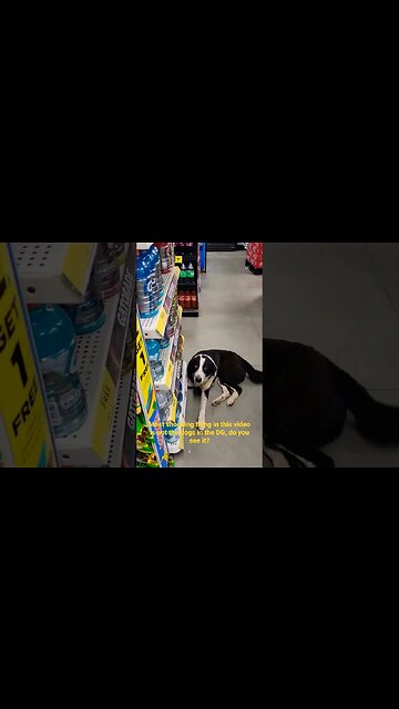 Something you don't see in DG everyday! Did you see it? #DG #dollargeneral