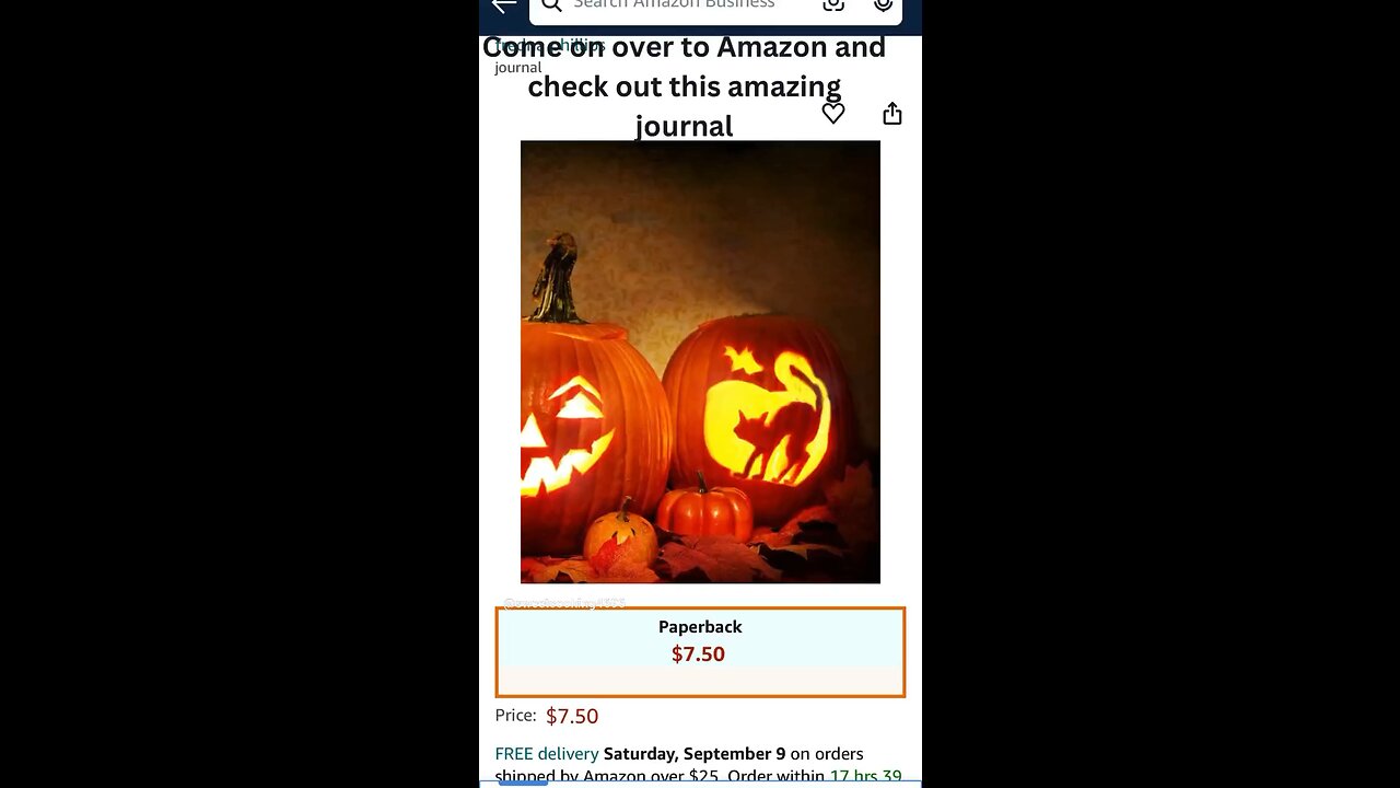 Cool journal on Amazon