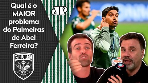 "Dá pra PERCEBER que o PROBLEMA desse Palmeiras é..." OLHA essa tese!