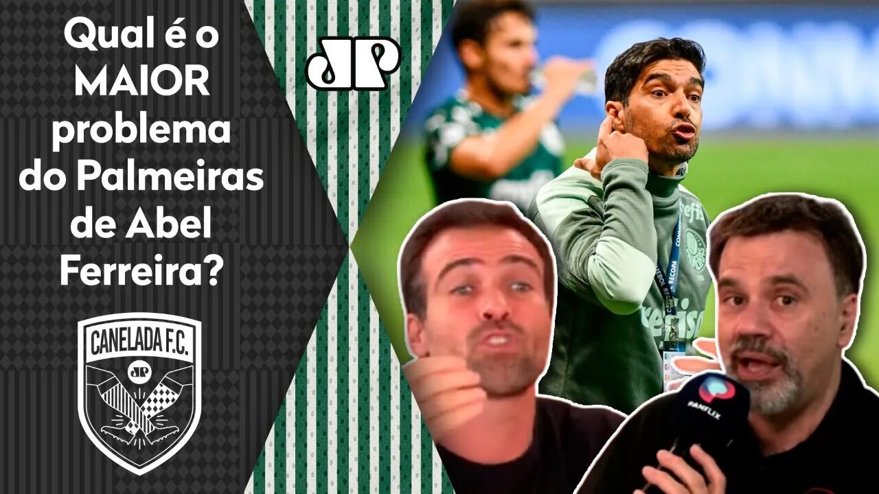 "Dá pra PERCEBER que o PROBLEMA desse Palmeiras é..." OLHA essa tese!