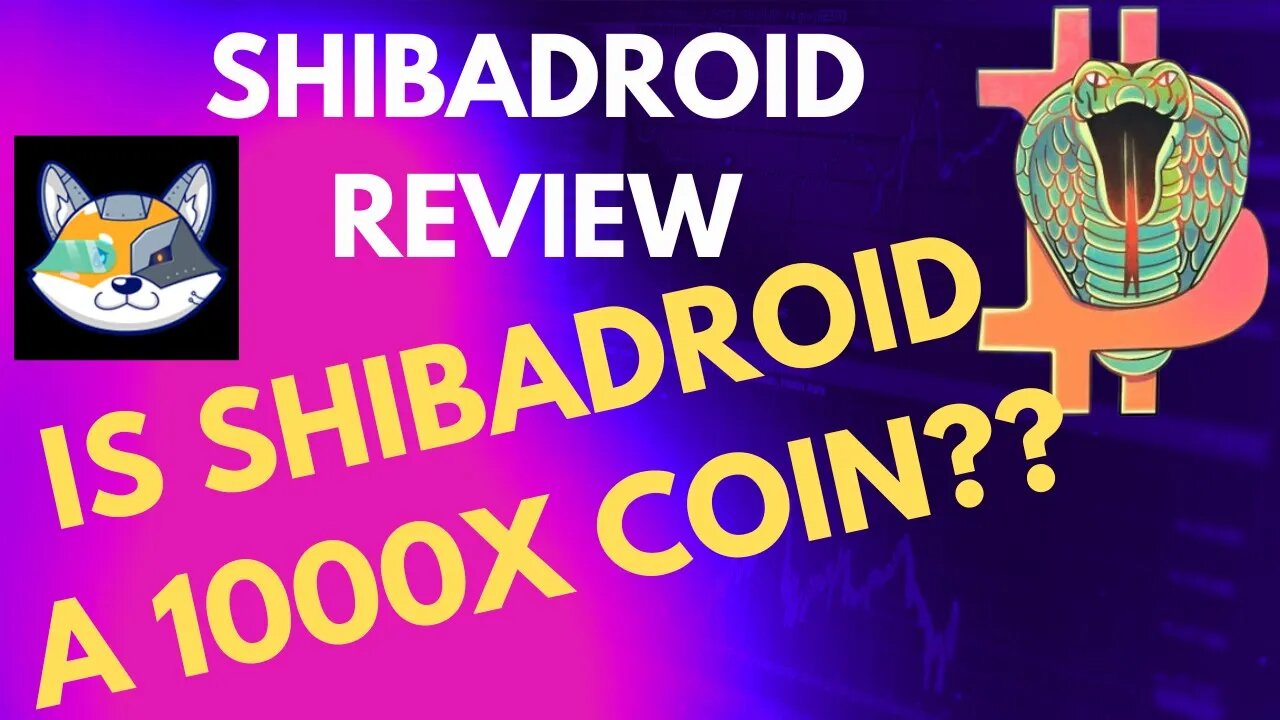 Shiba Droid review | Coul Shibadroid be a possible 1000x token??