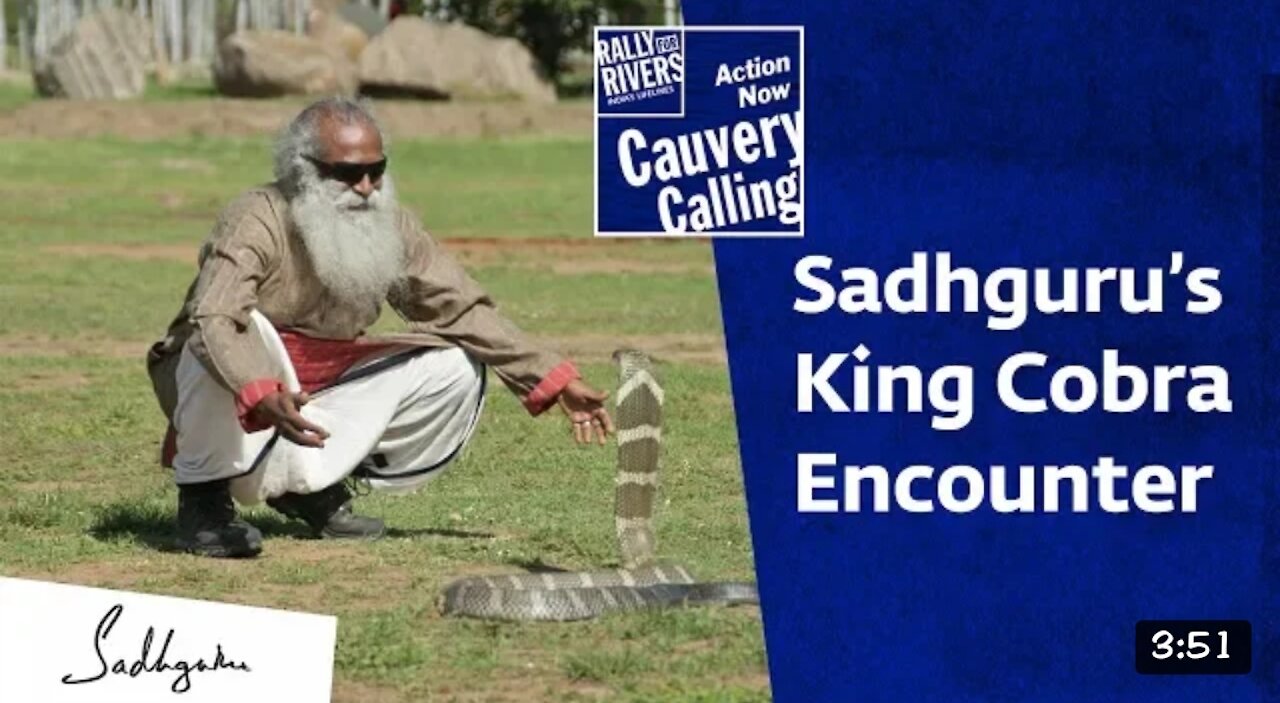 Sadhguru's encounter with king cobra