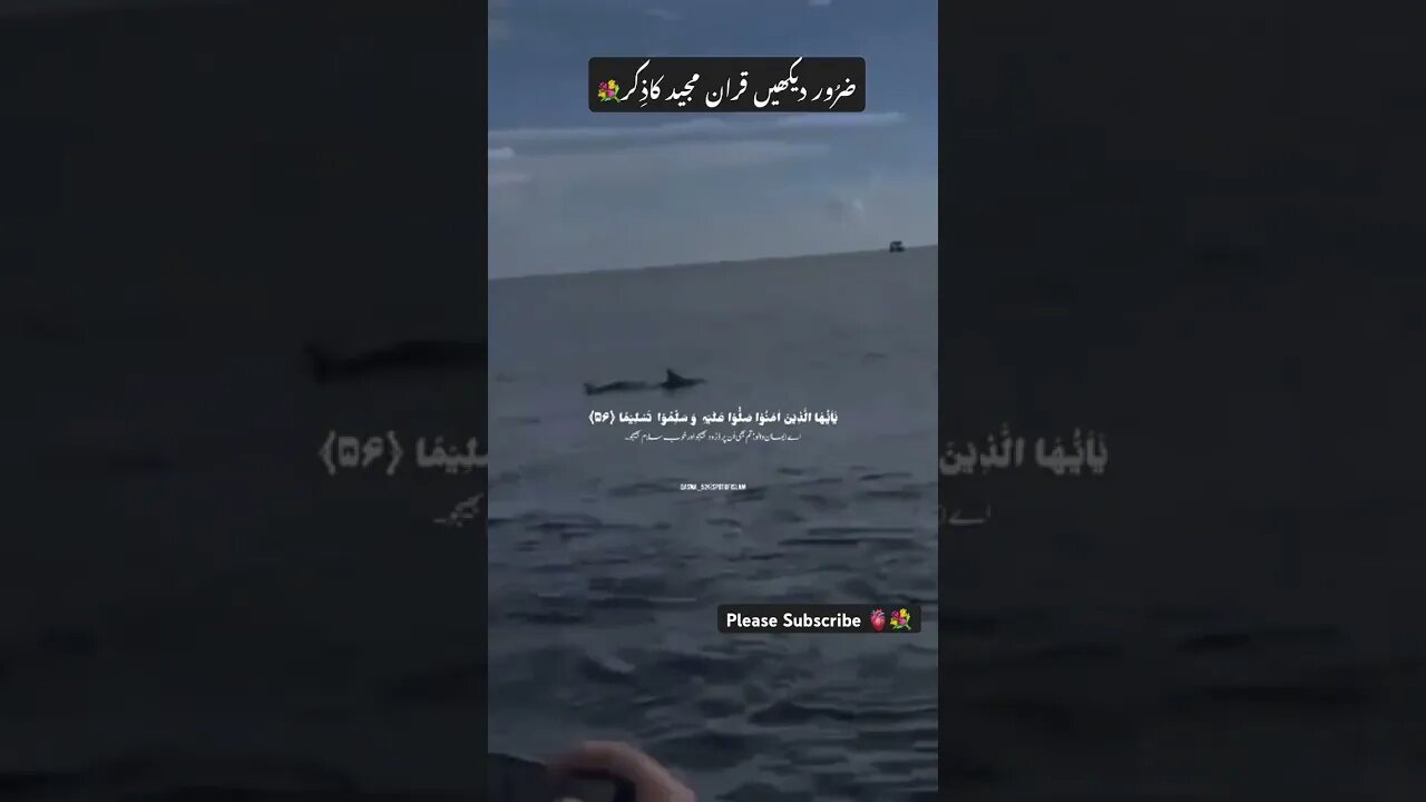 Power Of Quran 💕 His Voice Ma sha Allah 🕋 #Allah