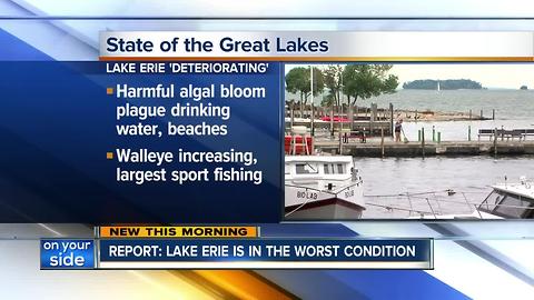 State of the Great Lakes study 2017