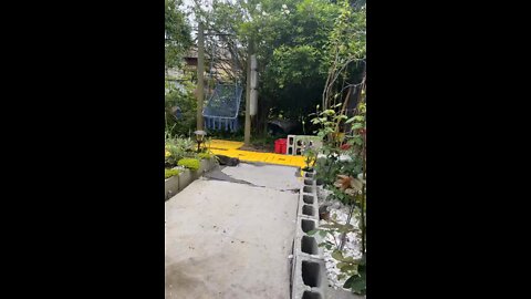 Tomcat and the cinder blocks