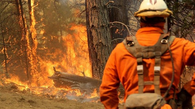 Trump Makes Head-Scratching Claim About California Wildfires