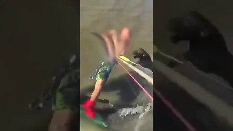 Heroic pitbull swims 5 miles to sea to maul man!