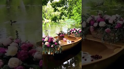 beautiful 🥰❤️ flowers.اجمل الورود لعيونكم